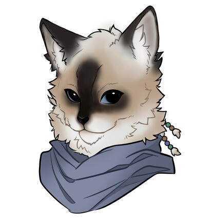 Softpaw The Rogue - 2024
